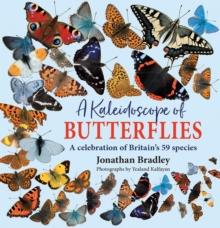 A Kaleidoscope of Butterflies : Britain's 59 resident species