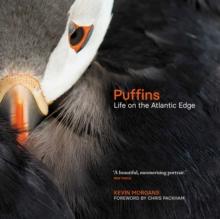 Puffins : Life on the Atlantic Edge