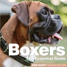 Boxers : The Essential Guide