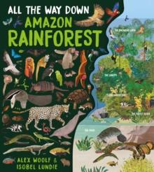 All The Way Down: Amazon Rainforest