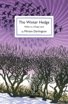 The Winter Hedge : Walks in a Deep Lane