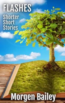 Flashes ~ Shorter Short Stories