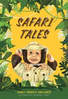 Safari Tales