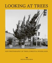 Looking At Trees : New Photography of Trees, Forests & Woodlands