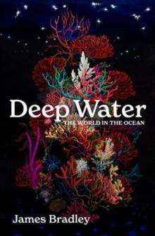 Deep Water : the world in the ocean