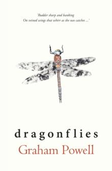 Dragonflies