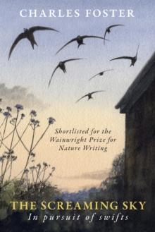 The Screaming Sky : in pursuit of swifts