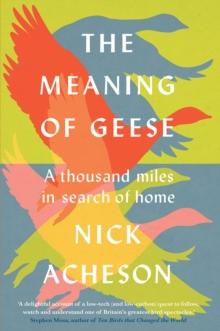 The Meaning of Geese : A Thousand Miles in Search of Home