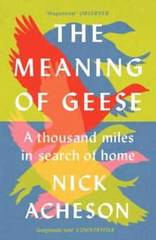 The Meaning of Geese : A Thousand Miles in Search of Home