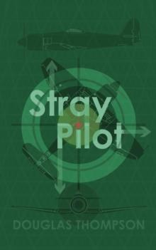 Stray Pilot