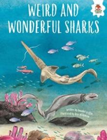 WEIRD AND WONDERFUL SHARKS : Shark Safari   STEM