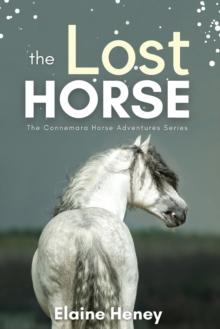 The Lost Horse : Book 6 in the Connemara Horse Adventure Series for Kids