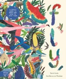 Fly : A Child's Guide to Birds and Where to Spot Them