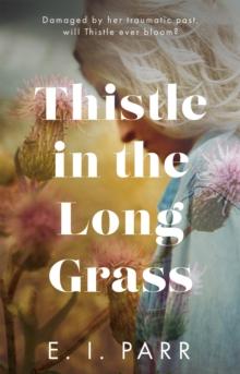 Thistle in the Long Grass