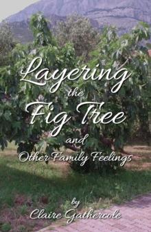 Layering The Fig Tree