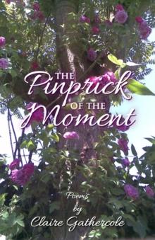 The Pinprick of the Moment