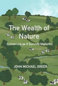 The Wealth of Nature : Economics as if Survival Mattered