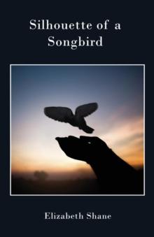 Silhouette of a Songbird