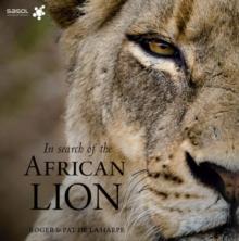 In Search of the African Lion