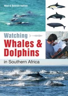 Watching Whales & Dolphins in Southern Africa