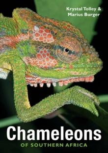 Chameleons of Southern Africa