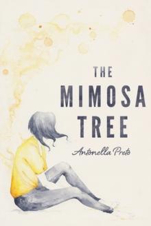 The Mimosa Tree