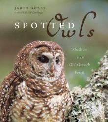 Spotted Owls : Shadows in an Old-Growth Forest