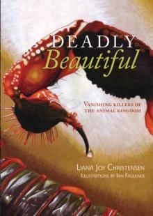 Deadly Beautiful : Vanishing killers of the animal kingdom