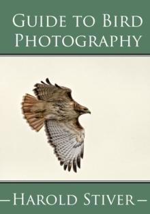 Guide to Photographing Birds