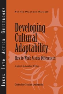 Developing Cultural Adaptability: How to Work Across Differences