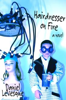 Hairdresser on Fire : A Novel