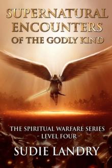 Supernatural Encounters of the Godly Kind: The Spiritual Warfare Series - Level Four