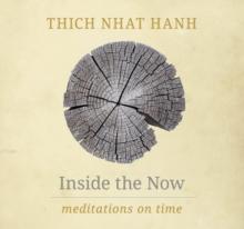 Inside the Now : Meditations on Time