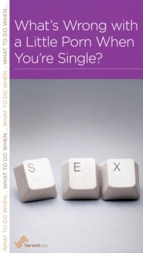 What's Wrong with a Little Porn When You're Single?