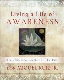 Living a Life of Awareness : Daily Meditations on the Toltec Path