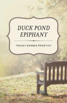 Duck Pond Epiphany : A Novel