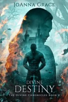 Divine Destiny- The Divine Chronicles Book 2