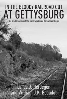 In the Bloody Railroad Cut at Gettysburg : The 6th Wisconsin of the Iron Brigade and its Famous Charge