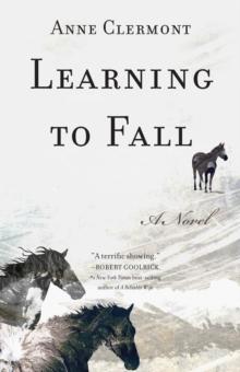 Learning to Fall : A Novel