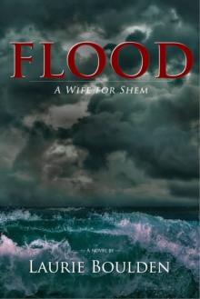 Flood: A Wife for Shem