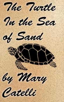 Turtle in the Sea of Sand