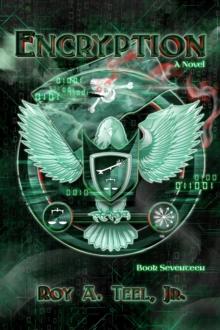 Encryption: The Iron Eagle Series Book Seventeen : The Iron Eagle, #17