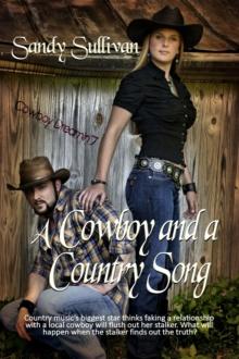 Cowboy and a Country Song