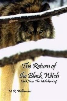 Return of the Black Witch