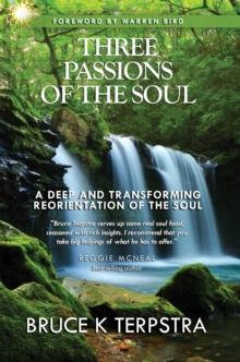 Three Passions of the Soul : A Deep and Transforming Reorientation of the Soul