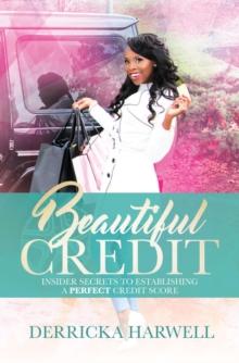 Beautiful Credit : Insider Secrets to Establishing a Perfect Credit Score