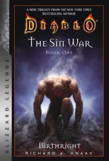 Diablo: The Sin War Book One: Birthright : Blizzard Legends