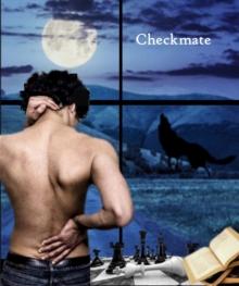 Checkmate : The Omega Auction Chronicles, #14