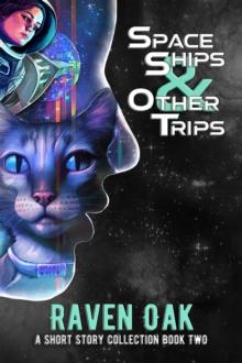 Space Ships & Other Trips : A Short Story Collection Book II