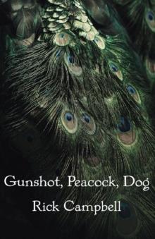 Gunshot, Peacock, Dog